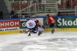 hoki02-520.jpg