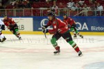 hoki02-661.jpg