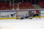 hoki02-707.jpg