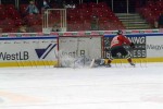 hoki02-719.jpg