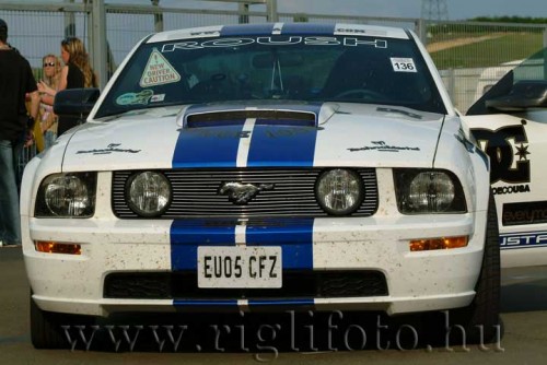 h_ring-416.jpg