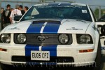 h_ring-415.jpg