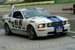 h_ring-500.jpg