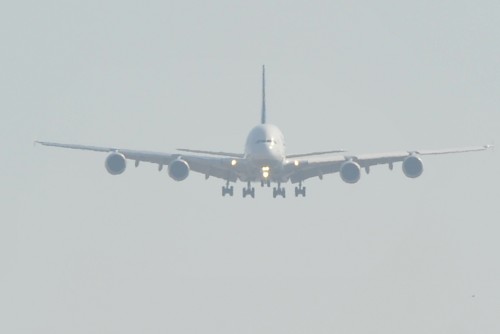 dsc_1110.jpg