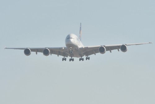 dsc_1125.jpg