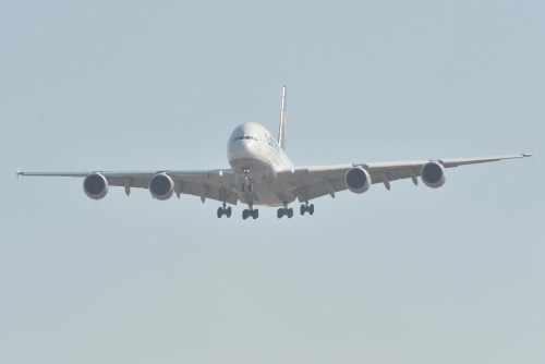 dsc_1134.jpg