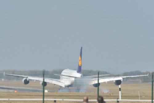 dsc_1142.jpg