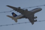 _rig2166.jpg